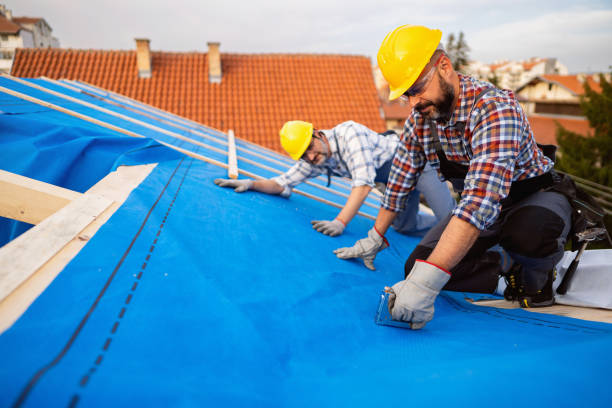 Best Roof Repair Services  in Tichigan, WI